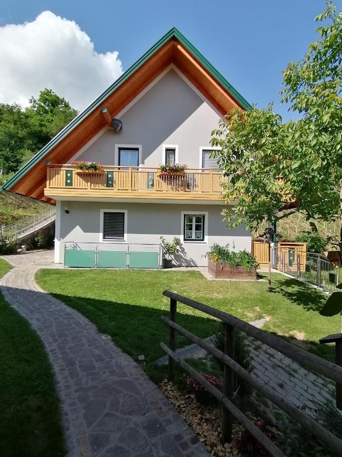 Ferienwohnung Stoff 绍萨尔地区基策克 外观 照片