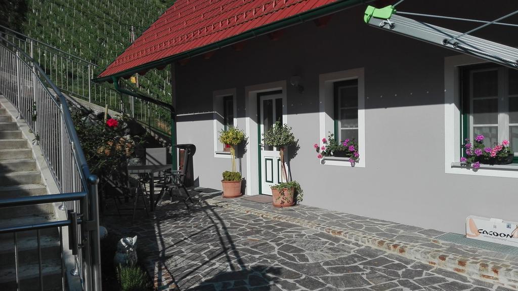 Ferienwohnung Stoff 绍萨尔地区基策克 外观 照片
